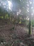 Foto Anúncio