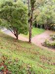 Foto Anúncio